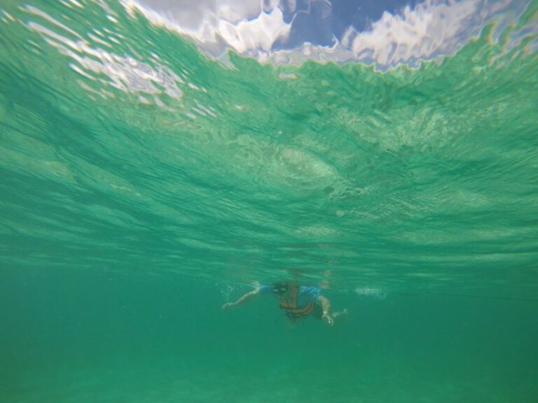 Cancún: Snorkeling With Marine Turtles