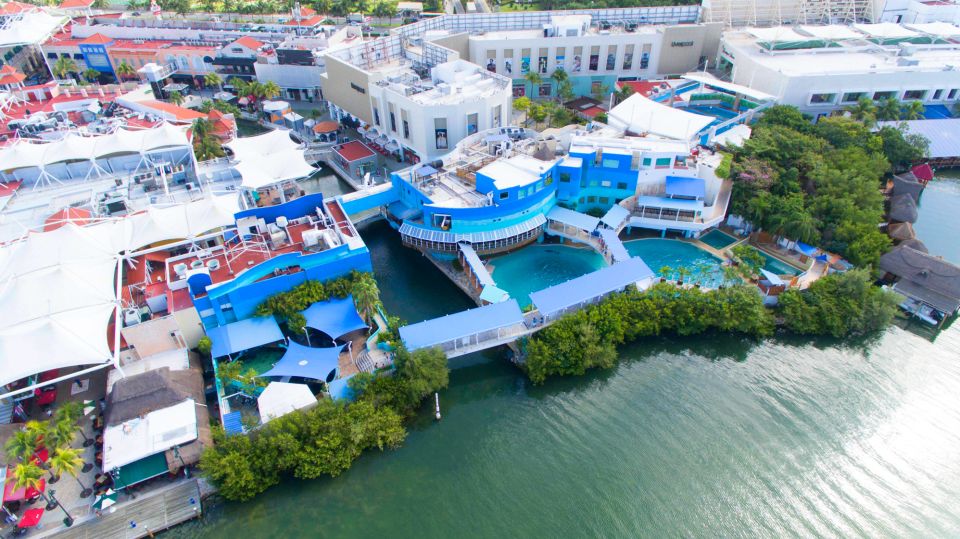 1 cancun swim with dolphins at interactive aquarium cancun Cancún: Swim With Dolphins at Interactive Aquarium Cancún