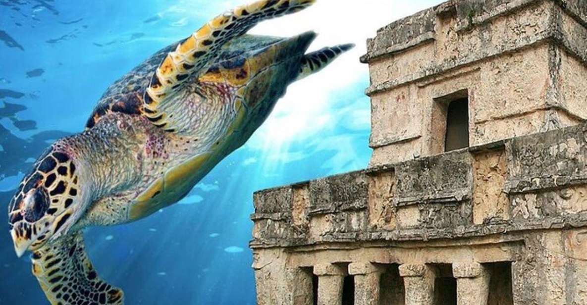 1 cancun tulum ruins snorkeling with sea turtles tour Cancun: Tulum Ruins & Snorkeling With Sea Turtles Tour