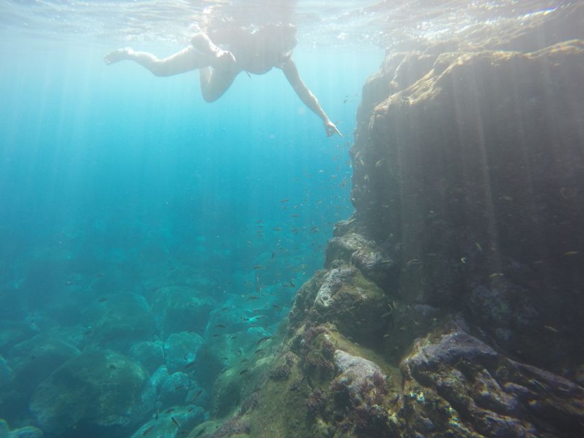 1 canico garajau nature reserve guided snorkeling tour Caniço: Garajau Nature Reserve Guided Snorkeling Tour