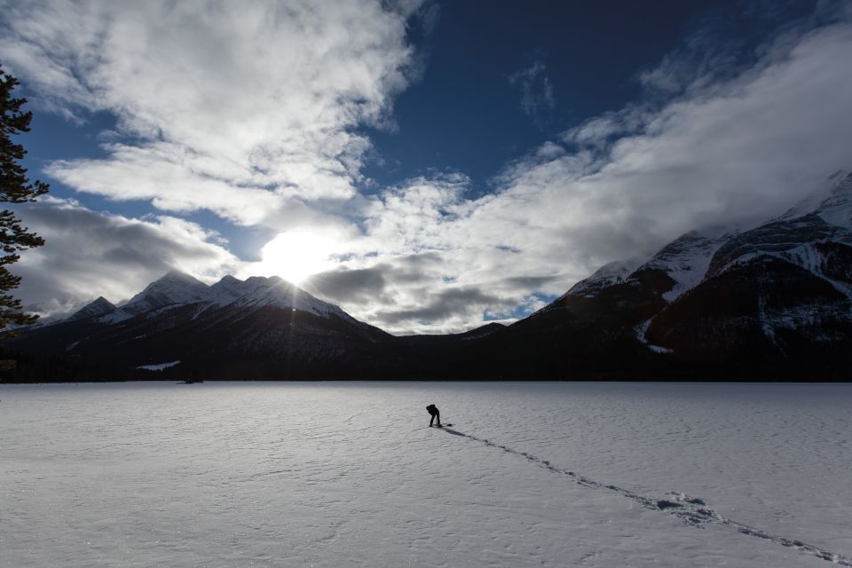 1 canmore wilderness and wildlife hiking tours Canmore: Wilderness and Wildlife - Hiking Tours