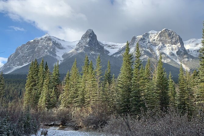 Canmore Wildlife Safari Drive and Walk in the Rocky Mountains