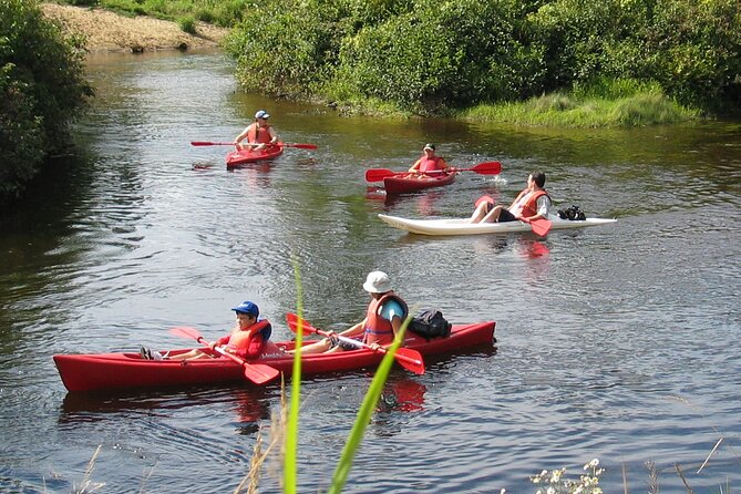 Canoe, Kayak, Paddleboard Rouge River – Self Guided Descent