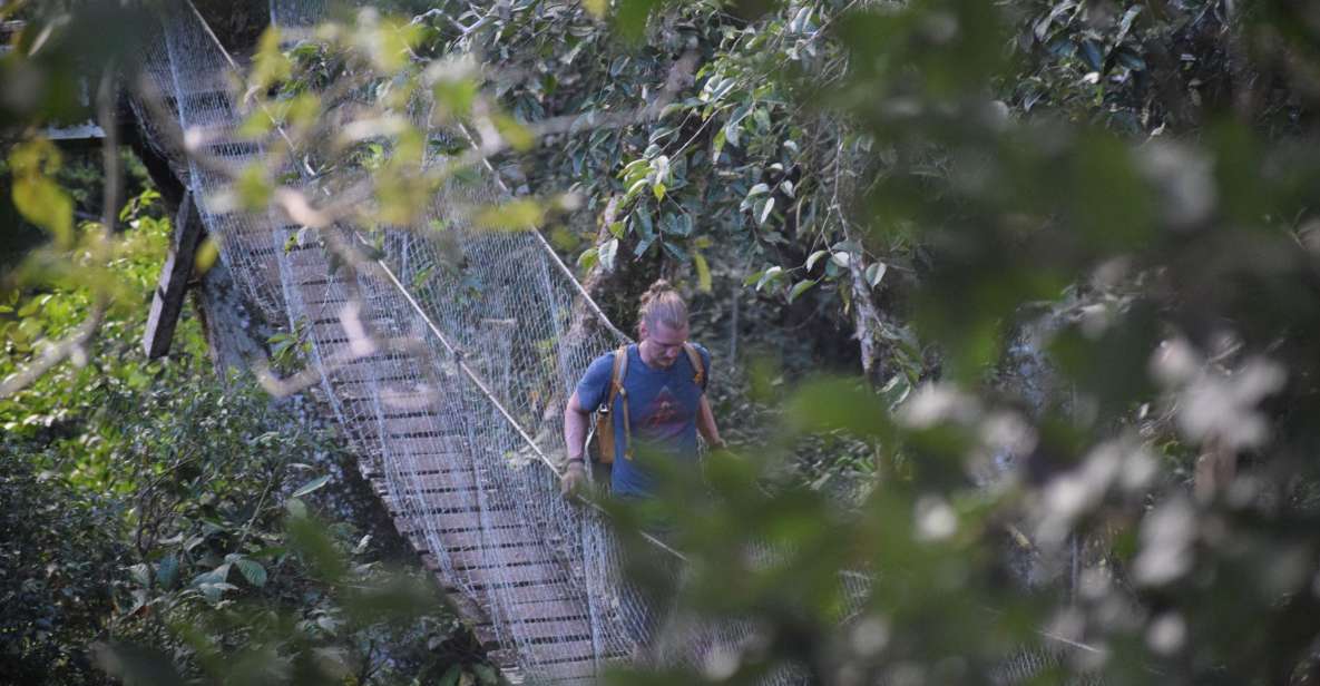 1 canopy walk and monkey island Canopy Walk and Monkey Island