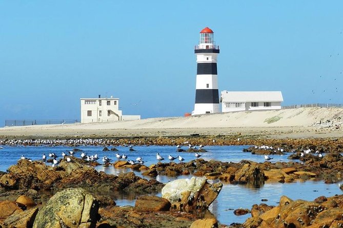 1 cape recife lighthouse and 4x4 grysbok reserve hd14 Cape Recife, Lighthouse and 4x4 Grysbok Reserve - HD14