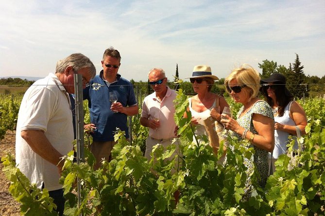 Carcassonne Private Half-Day Winery Visits and Tasting