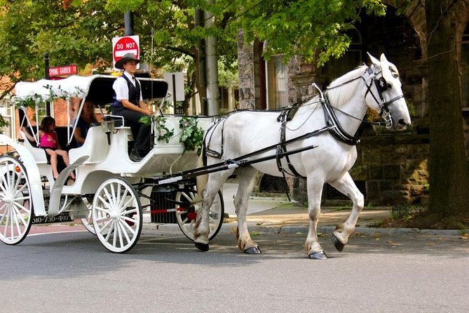 Carriage Ride in Central Park (VIP – PRIVATE) Since 1964
