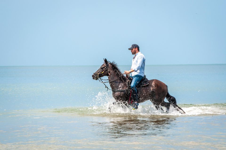 1 cartagena beach horse ride and colombian horse culture Cartagena: Beach Horse Ride and Colombian Horse Culture