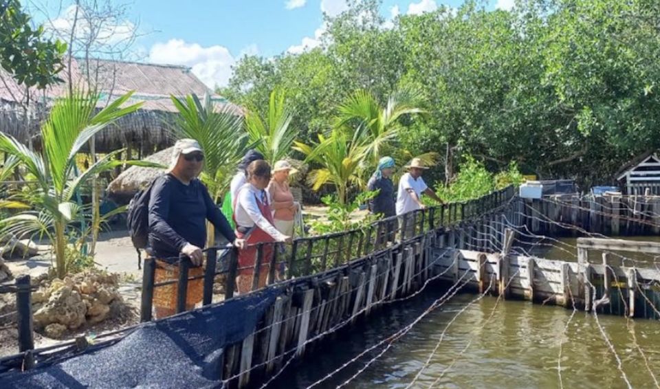 1 cartagena canoe tour through mangroves Cartagena: Canoe Tour Through Mangroves
