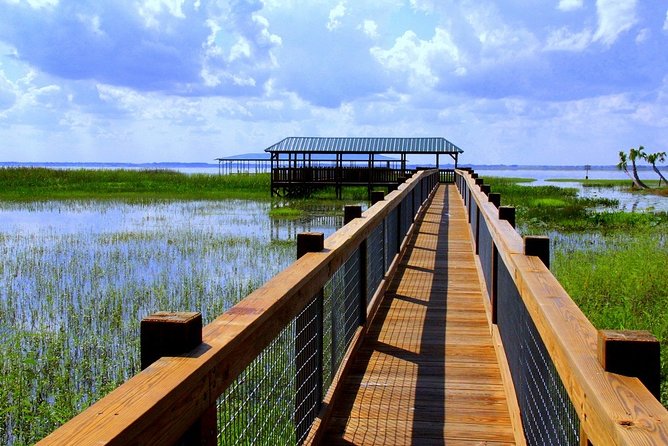 1 central florida everglades airboat tour from orlando Central Florida Everglades Airboat Tour From Orlando