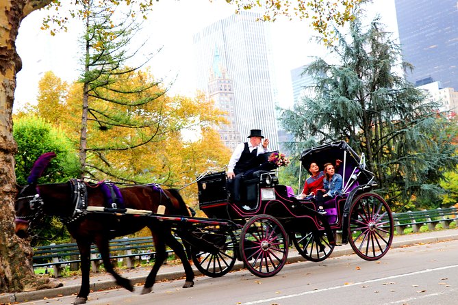 1 central park horse carriage ride short loop up to 4 adults Central Park Horse Carriage Ride Short Loop (Up to 4 Adults))