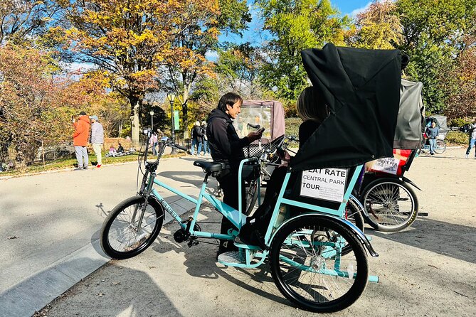 Central Park Private Pedicab Tour (2hrs)