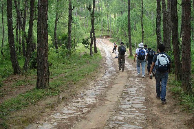 Champa Devi Hill Day Hike