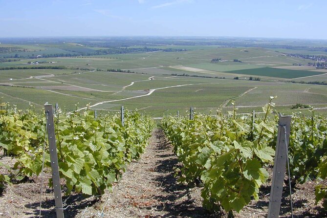 Champagne Lover Tour With Private Driver – 100% Grand Cru Chardonnay