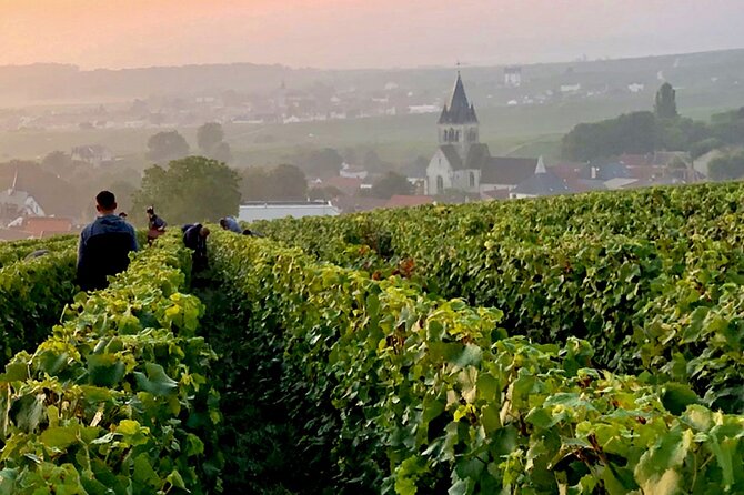 Champagne Region Small-Group Full-Day Tasting Tour From Paris