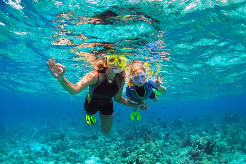 1 chankanaab park cozumel day pass and snorkeling package Chankanaab Park Cozumel Day Pass and Snorkeling Package