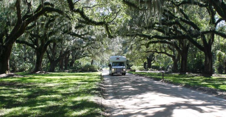 Charleston: Boone Hall Plantation Entry & Tour W/ Transport