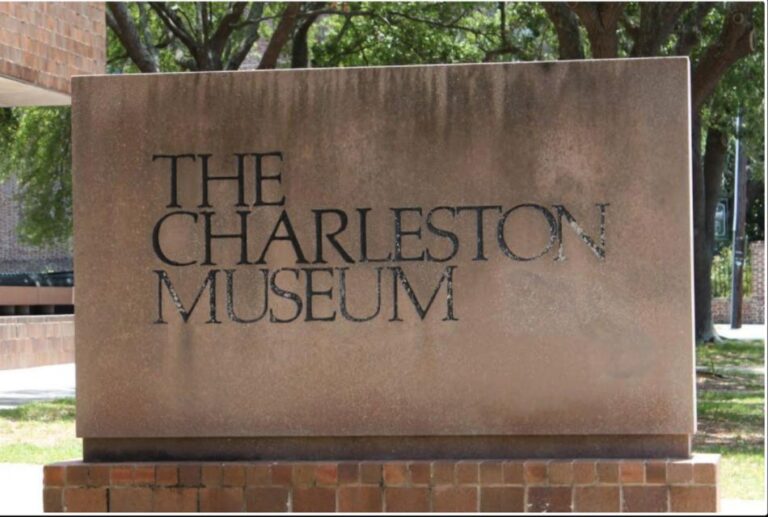 Charleston: City Tour With Charleston Museum Entry Combo
