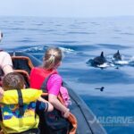 1 cheapest family friendly boat trip from vilamoura algarve Cheapest Family Friendly Boat Trip From Vilamoura Algarve