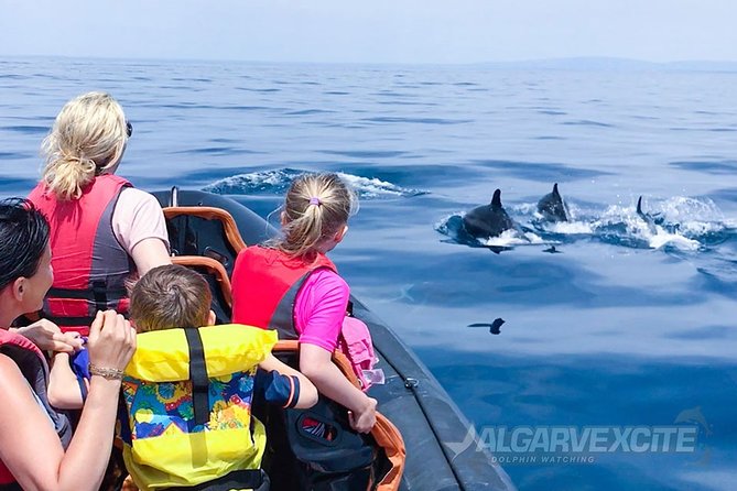 1 cheapest family friendly boat trip from vilamoura algarve Cheapest Family Friendly Boat Trip From Vilamoura Algarve