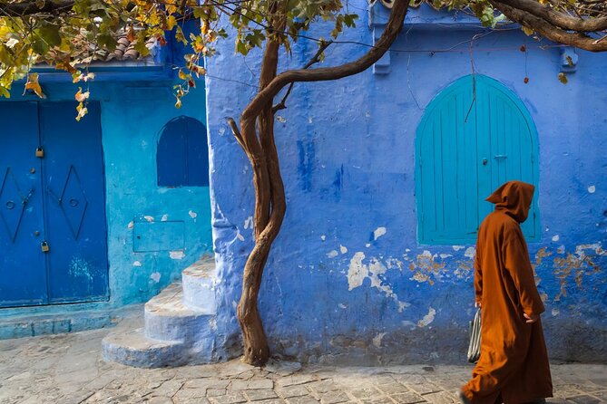 Chefchaouen Day Trip From Fes With Small Group - Transportation Details