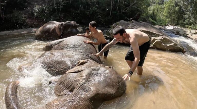 Chiang Mai :Doi Inthanon Explore &Ethical Elephant Sanctuary