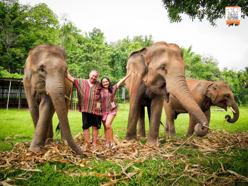 1 chiang mai elephant jungle sanctuary with lunch transfer Chiang Mai: Elephant Jungle Sanctuary With Lunch & Transfer