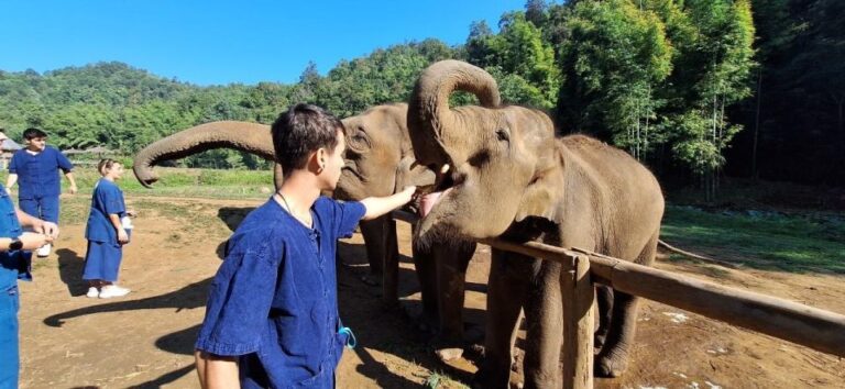 Chiang Mai: Elephants, Hill Tribe Stay, Rafting, Waterfall