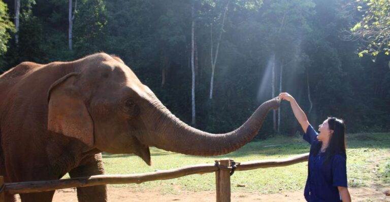 Chiang Mai: Elephants, Waterfall, and White Water Rafting