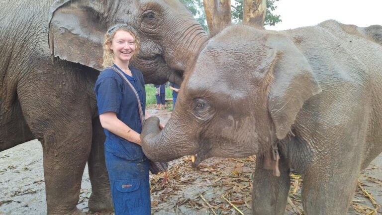 Chiang Mai: Ethical Elephant Sanctuary Day Tour & Lunch