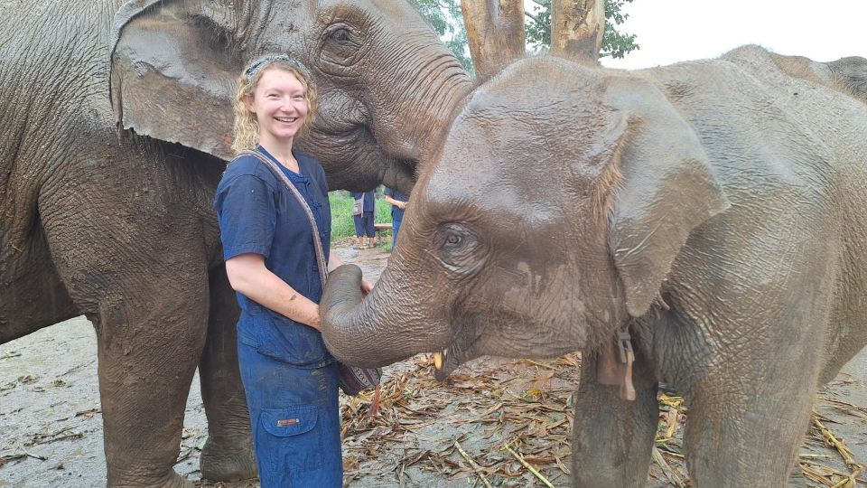 1 chiang mai ethical elephant sanctuary day tour lunch Chiang Mai: Ethical Elephant Sanctuary Day Tour & Lunch