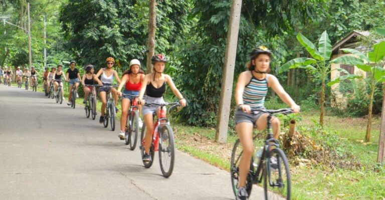 Chiang Mai: Full-Day Guided Bike & Regional Culture Tour