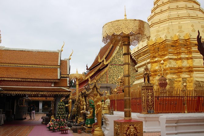 Chiang Mai Morning Alms With Doi Suthep, Wat Umong, and More
