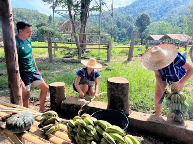 Chiang Mai: New Elephant Home Elephant Care Program