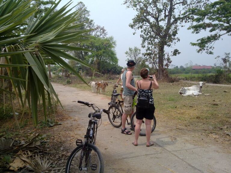 Chiang Mai Paradise Full Day Bicycle Tour
