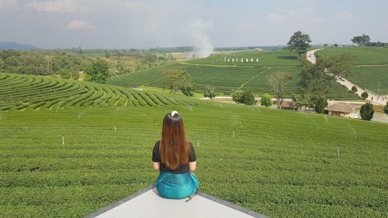 Chiang Rai:Guide With Lunch Full Day Highlight Tour