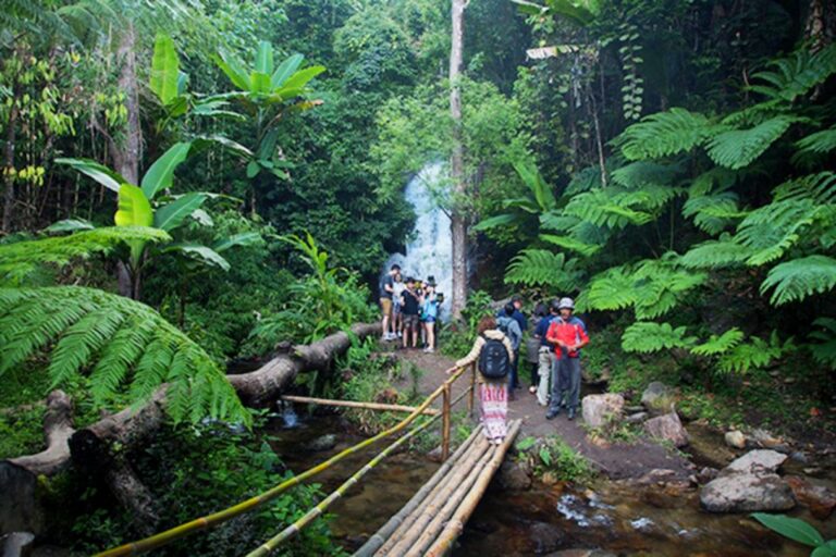 ChiangMai: Doi Inthanon National Park&mini-trek to Waterfall