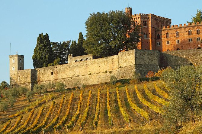Chianti and Castle Small Group Tour From San Gimignano