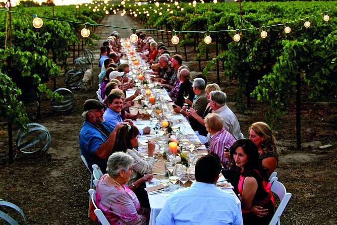 Chianti Vineyards: Small-Group Tour With Wine Tasting & Dinner