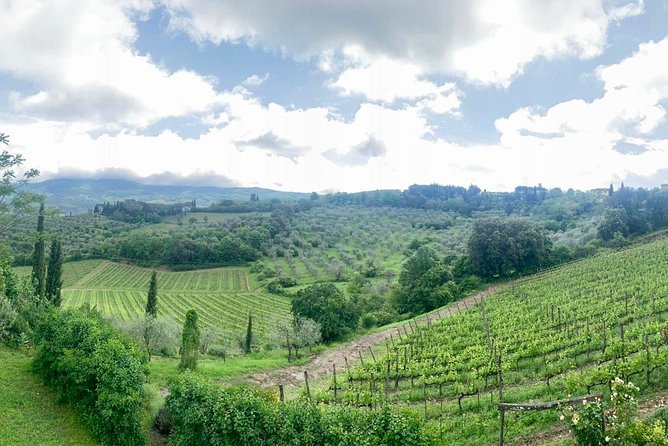 1 chianti vineyards tours in private luxury van from florence Chianti Vineyards Tours in Private Luxury Van From Florence