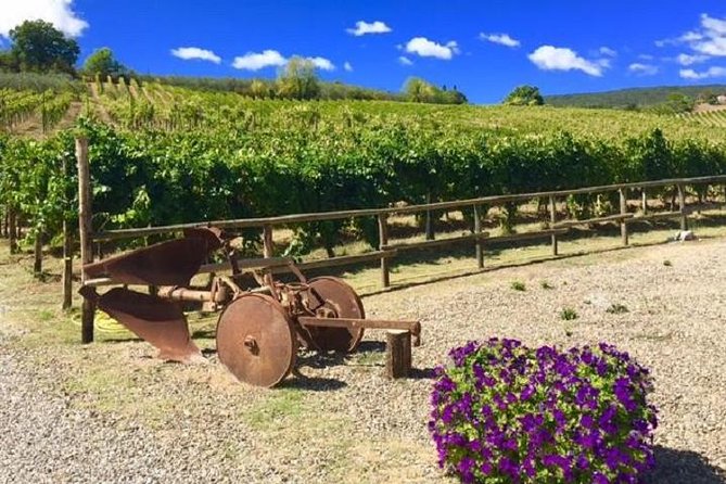 Chianti Wine and Vinci Half Day Small Group Tour From Lucca