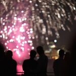 1 chicago fireworks dinner cruise with buffet Chicago Fireworks Dinner Cruise With Buffet