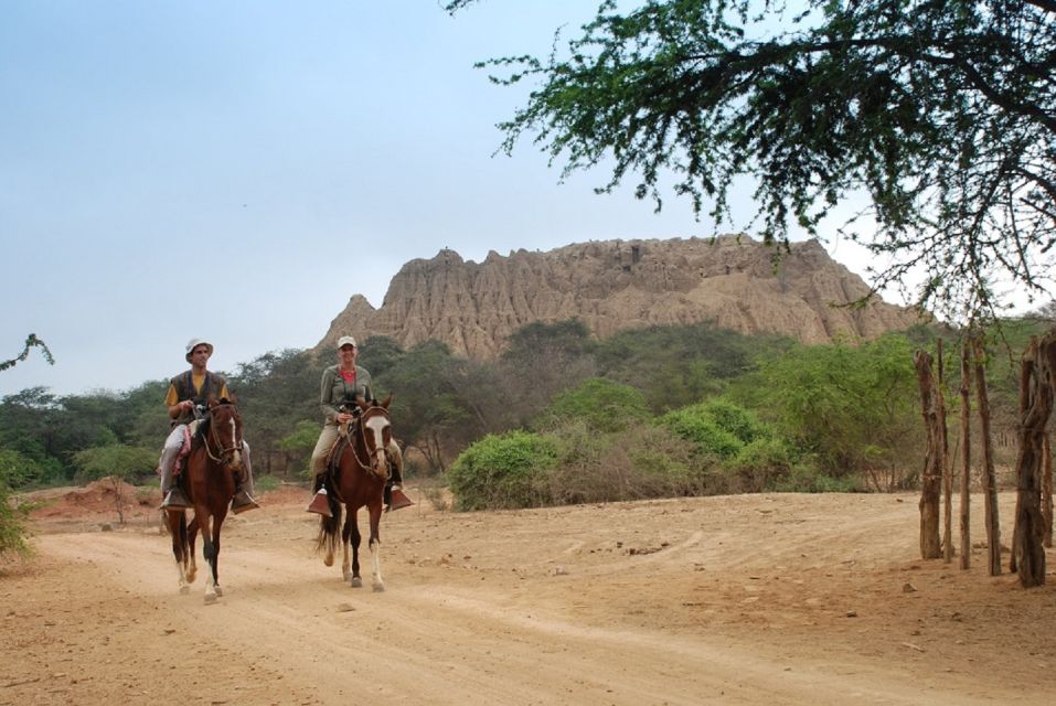 1 chiclayo pomac forest historic sanctuary sican museum Chiclayo: Pomac Forest Historic Sanctuary & Sican Museum