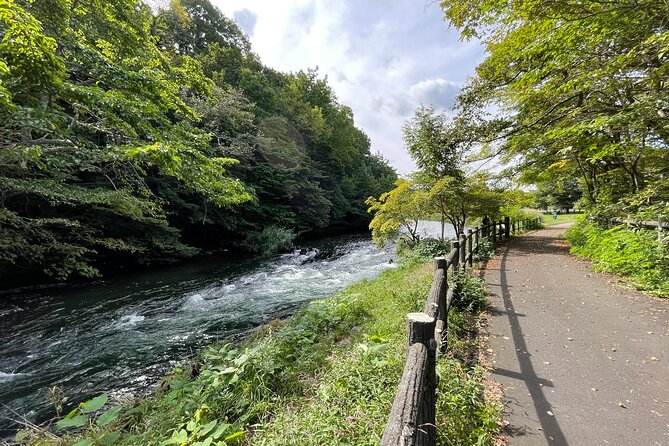 Chitose River E-Bike Cycling and The Birdwatching Cafe