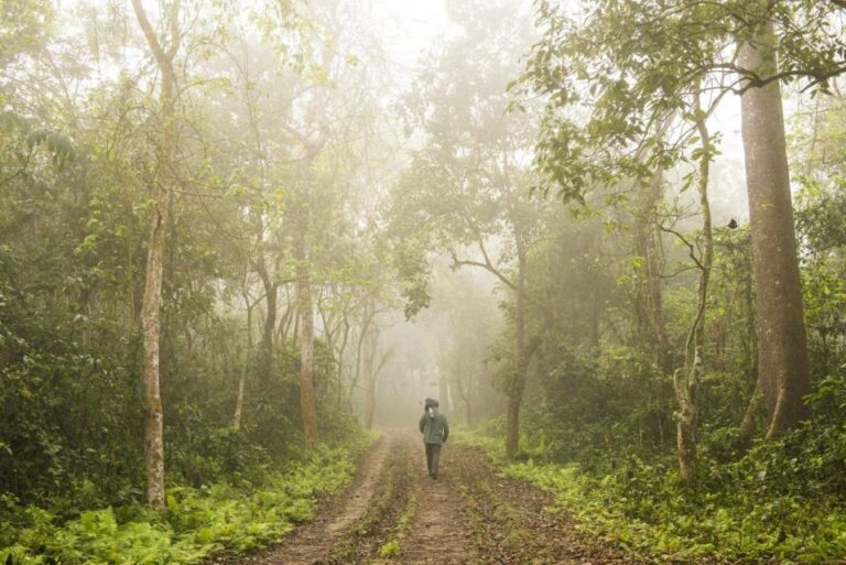 Chitwan Jungle Safari