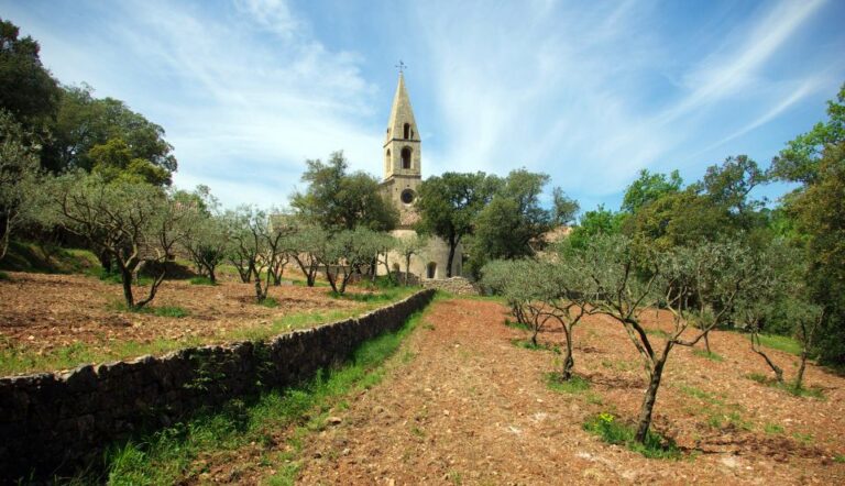 Churches of Provence & French Countryside Private Tour