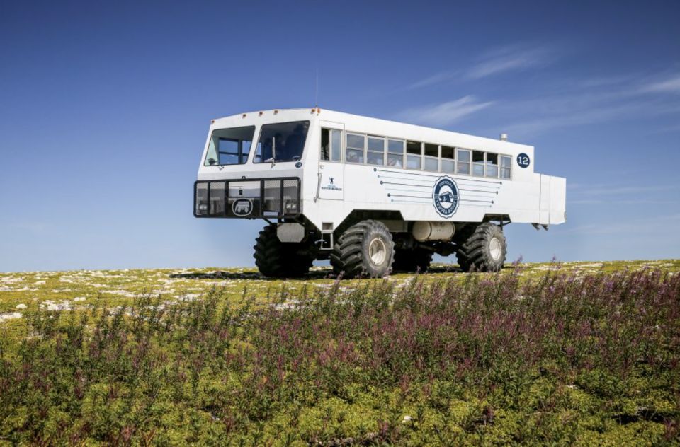 Churchill: Exclusive Tundra Buggy Day Trip - Experience Highlights