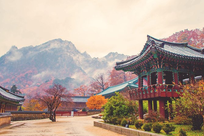 Classic Naejangsan National Park One Day Tour (Autumn Limited） - Itinerary Highlights