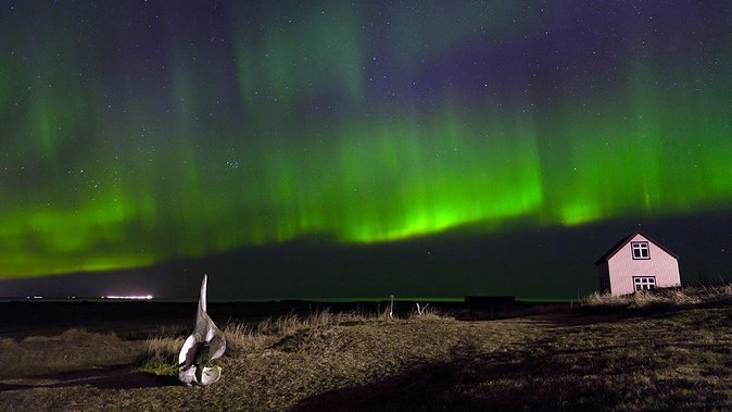 Classic Northern Lights Tour From Reykjavik With Live Guide and Touch-Screen Audio Guide