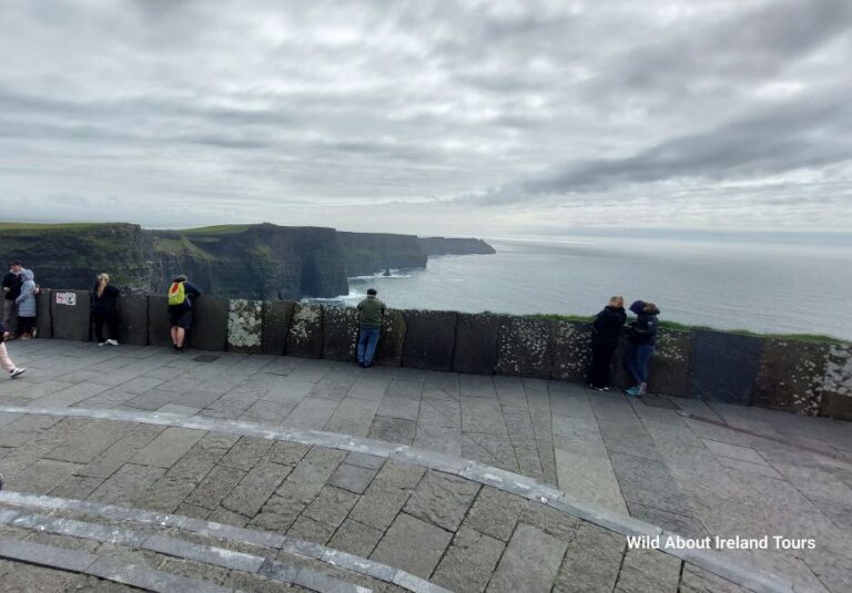 Cliffs of Moher and National Park Private Limousine Tour